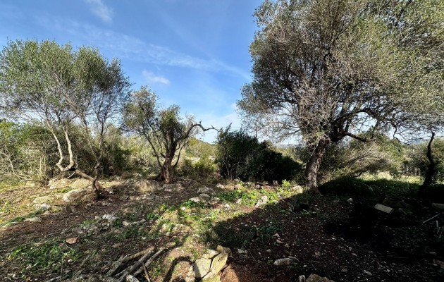 Venta - Parcela / Terreno - Artà