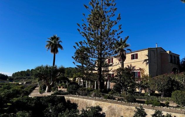 Sale - Vila - Montuiri