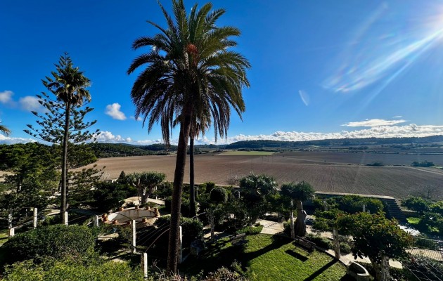 Sale - Vila - Montuiri