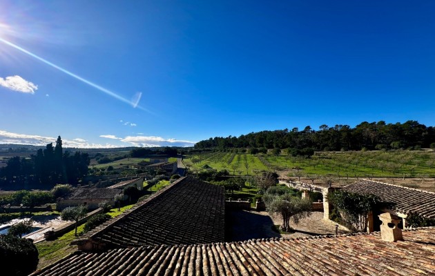 Sale - Vila - Montuiri