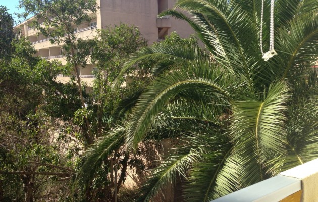 Resale - Wohnung - Calas de Mallorca