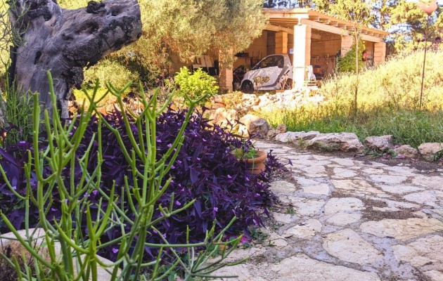 Venta - Chalet - Cala Millor