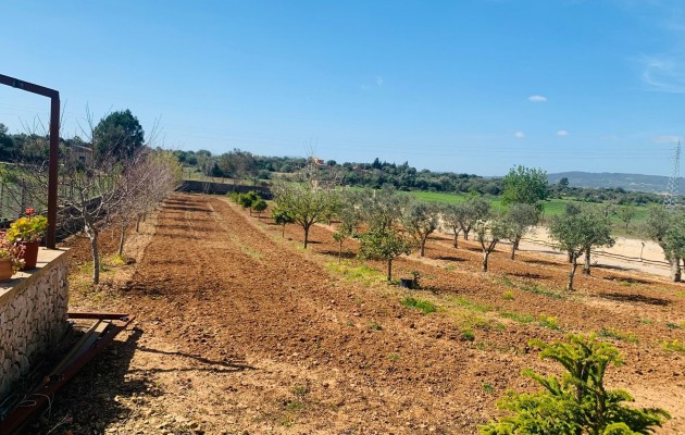 Resale - Vila - Manacor