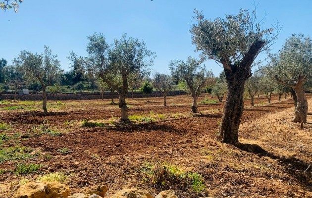 Resale - Vila - Manacor