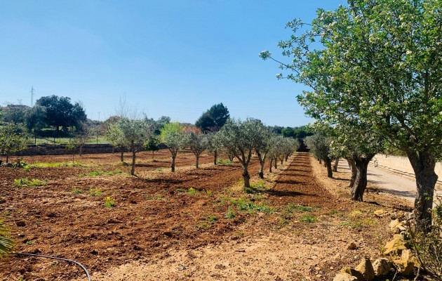 Resale - Vila - Manacor