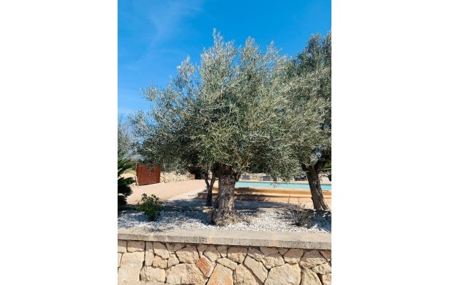 Resale - Vila - Manacor