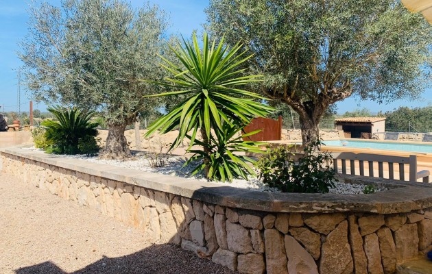 Resale - Vila - Manacor