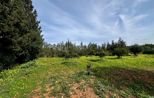 Sale - Plot / Land - Manacor