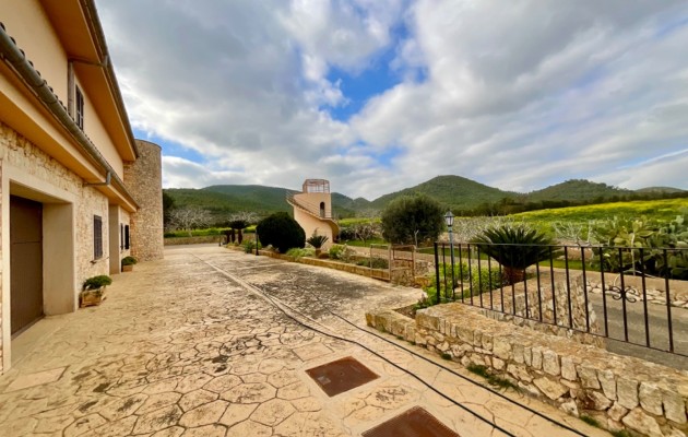 Sale - Vila - Manacor