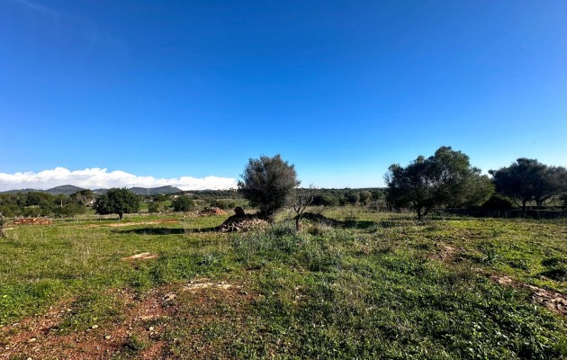 Sale - Plot / Land - Son Carrio