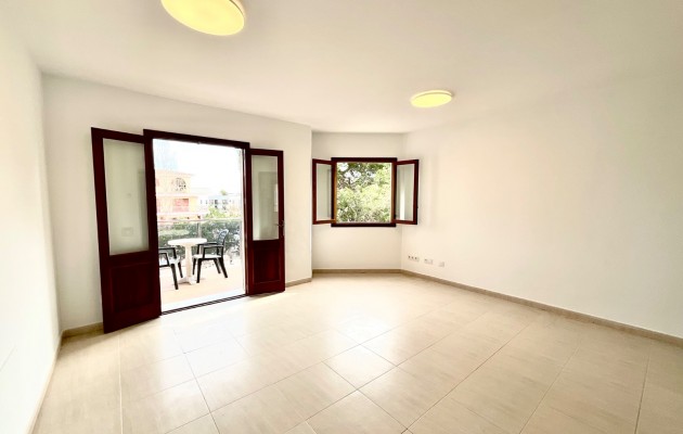Sale - Apartment / flat - Porto Cristo