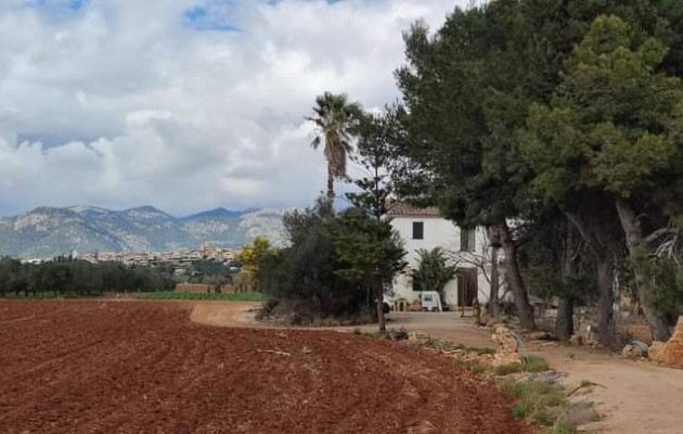 Resale - Vila - Sa Pobla