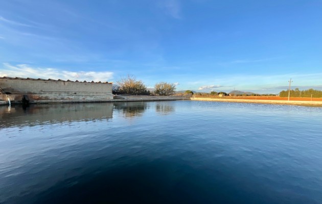 Resale - Vila - Sa Pobla