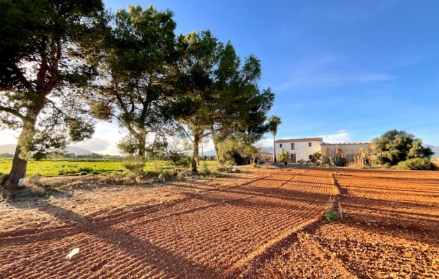 Resale - Vila - Sa Pobla