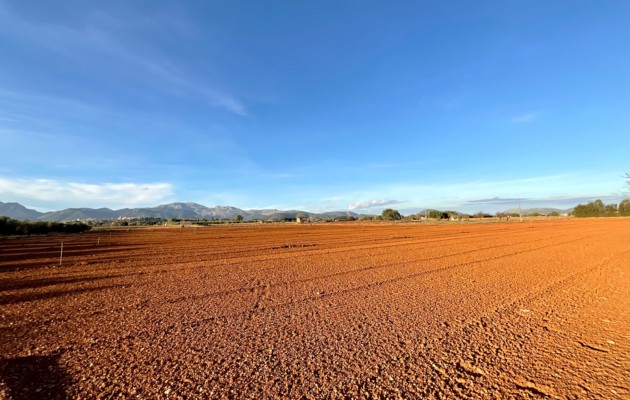 Resale - Vila - Sa Pobla