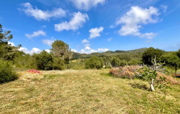 Sale - Vila - Son Servera