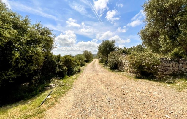 Sale - Vila - Son Servera