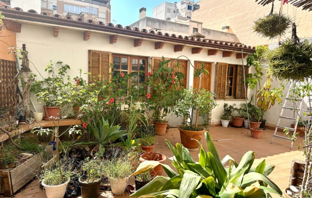 Sale - Apartment / flat - Palma - Archiduque