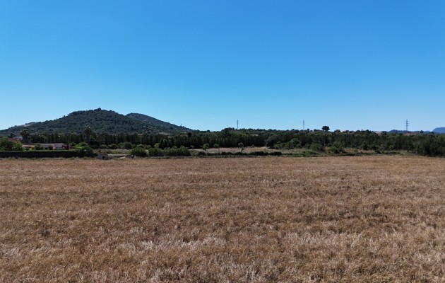 Venta - Parcela / Terreno - Manacor