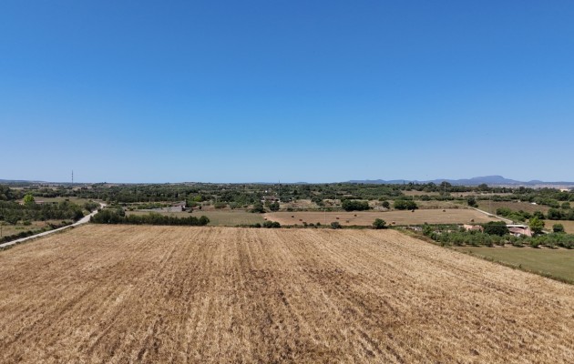 Venta - Parcela / Terreno - Manacor