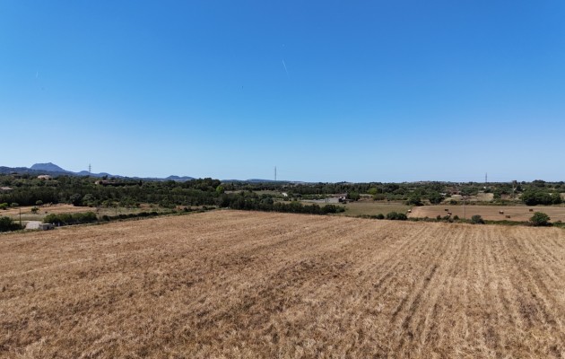 Venta - Parcela / Terreno - Manacor
