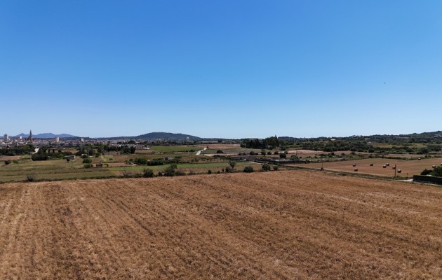 Venta - Parcela / Terreno - Manacor