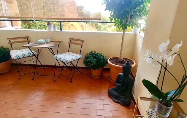 Venta - Apartamento / piso - Palma - El Terreno
