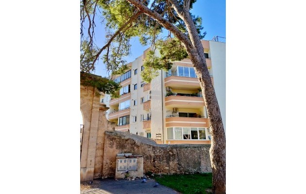 Venta - Apartamento / piso - Palma - El Terreno