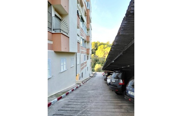Venta - Apartamento / piso - Palma - El Terreno