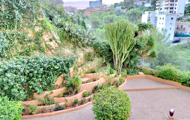 Venta - Apartamento / piso - Palma - El Terreno