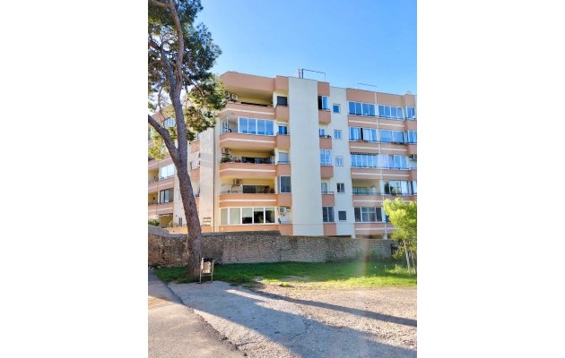 Venta - Apartamento / piso - Palma - El Terreno