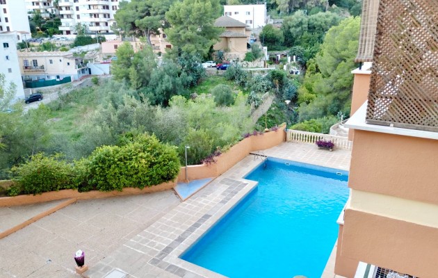 Venta - Apartamento / piso - Palma - El Terreno