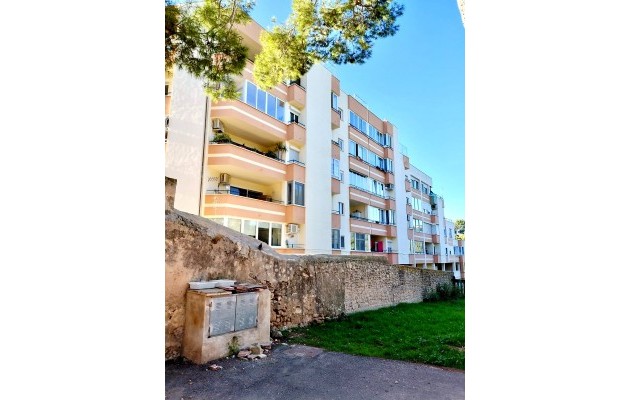 Venta - Apartamento / piso - Palma - El Terreno