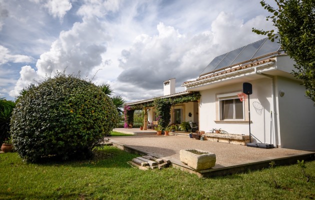 Venta - Chalet - Costa de los pinos