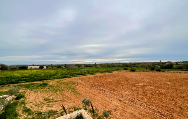 Venta - Chalet - Campos