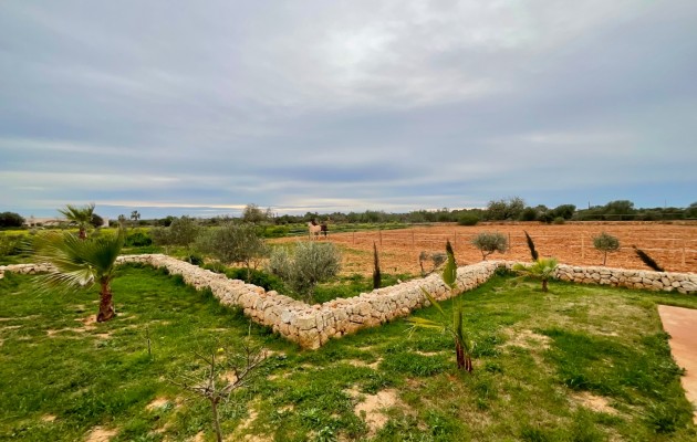 Venta - Chalet - Campos