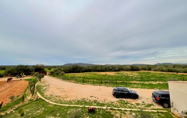 Venta - Chalet - Campos