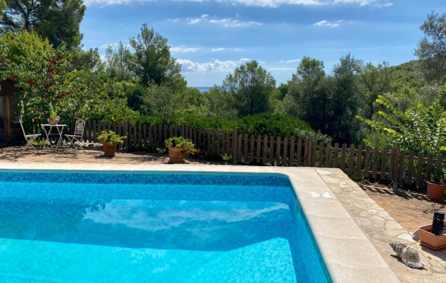 Sale - Great properties - Palma - Génova