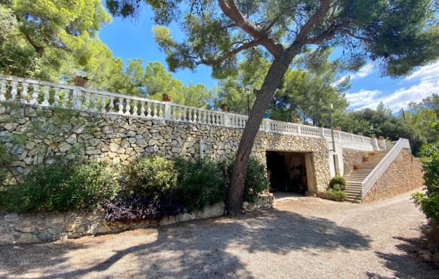 Sale - Great properties - Palma - Génova