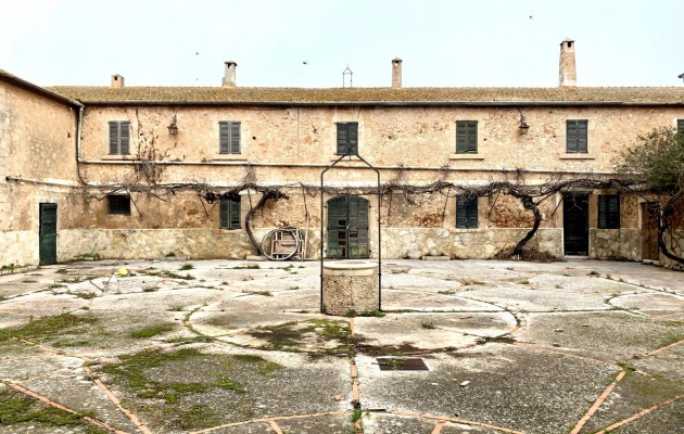 Sale - Great properties - Palma - Sant Jordi