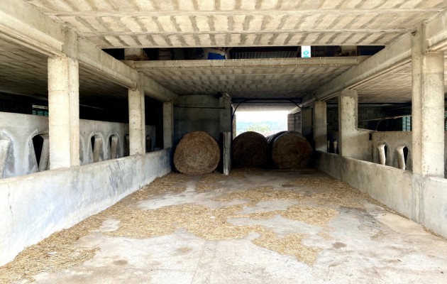 Sale - Great properties - Palma - Sant Jordi