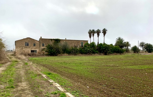 Sale - Great properties - Palma - Sant Jordi