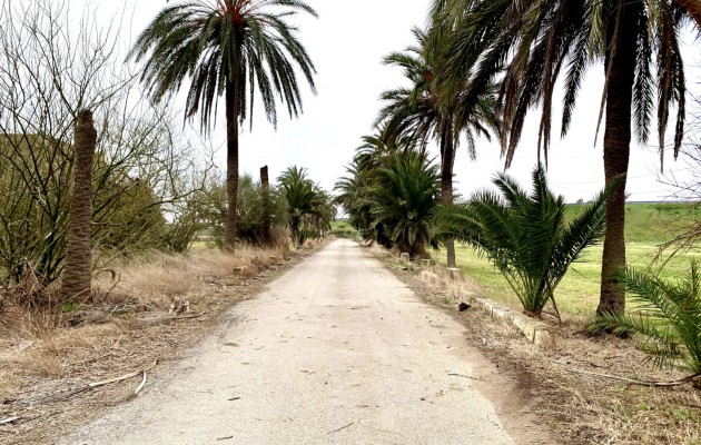 Sale - Great properties - Palma - Sant Jordi