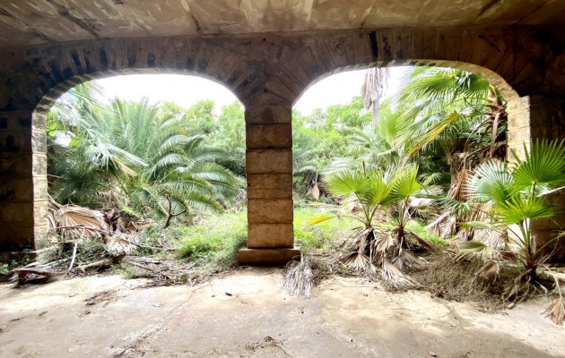 Sale - Great properties - Palma - Sant Jordi