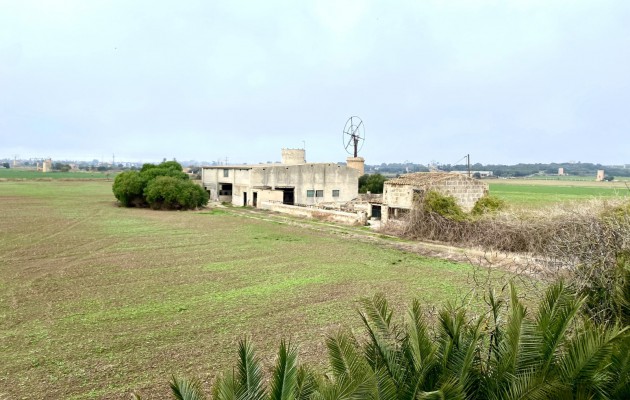 Sale - Great properties - Palma - Sant Jordi