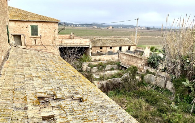 Sale - Great properties - Palma - Sant Jordi